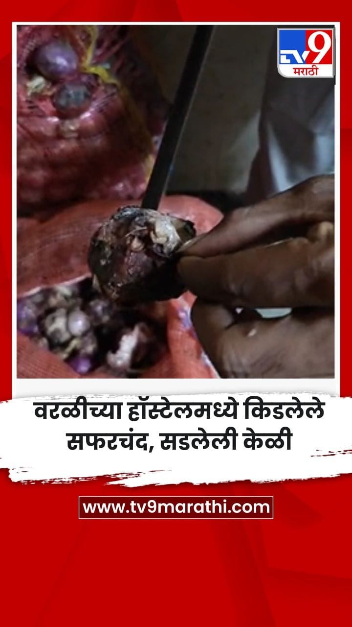 वरळीच्या हॉस्टेलमध्ये किडलेले सफरचंद, सडलेली केळी-1727939