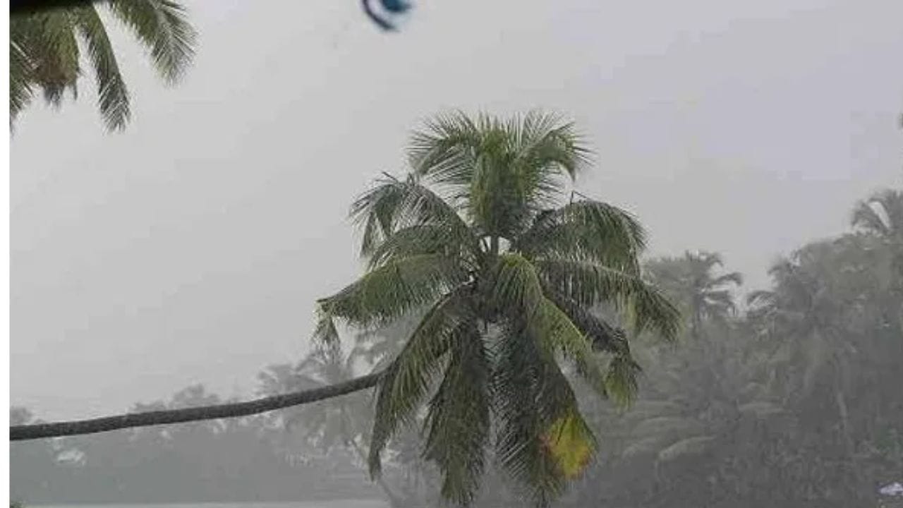 भारतीय हवामान विभागाकडून अनेक राज्यांना पुढील 24 तासांमध्ये मुसळधार पवासाचा हाय अलर्ट देण्यात आला आहे. मंगळवारी पावसाचा जोर आणखी वाढण्याची शक्यता आहे. महाराष्ट्रात देखील काही ठिकाणी जोरदार पावसाची शक्यता आहे.