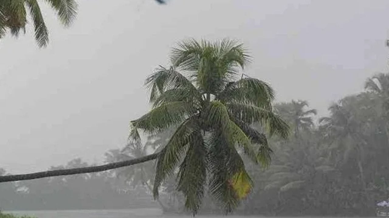 हवामान विभागाने वर्तवलेल्या अंदाजानुसार पूर्व आणि पश्चिम विदर्भात 23 तारखेला सायंकाळपासून पुढील तीन दिवस मुसळधार पावसाचा अंदाज आहे. गोंदिया, गडचिरोली, चंद्रपूर, यवतमाळ जिल्ह्याला 24 आणि 25 ला पावसाचा ऑरेज अलर्ट जारी करण्यात आला आहे.
