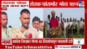 Akola | अकोल्यात 40-45 दिवसांपासून पाऊस नाही; सोयाबीन पीक उद्ध्वस्त, शेतकरी हवालदिल