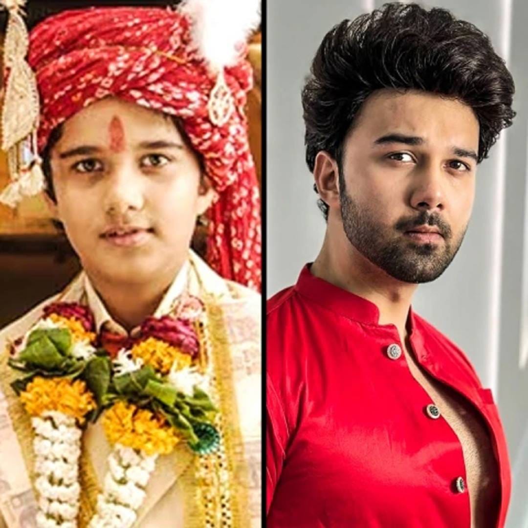 अविनाश मुखर्जी 'बालिका वधू' या मालिकेत बालकलाकार म्हणून प्रचंड लोकप्रिय झाला. या मालिकेतील त्याने जगियाची भूमिका साकारली होती. त्यानंतर त्याने 'गुमराह', 'शक्ती', 'ससुराल सिमर का 2' यांसारख्या मालिकांमध्ये अभिनयकौशल्य दाखवलं.