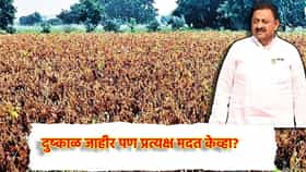 Dry Drought: दुष्काळ जाहीर पण प्रत्यक्ष मदत केव्हा? मंत्री बाबासाहेब पाटील यांच्या वक्तव्याने वाढवली शेतकर्‍यांची चिंता, उपायासाठी किती वेळ लागणार?