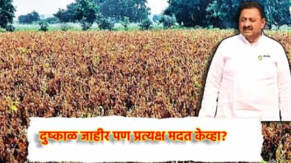 दुष्काळ जाहीर पण प्रत्यक्ष मदत केव्हा? मंत्र्यांच्या वक्तव्याने चिंता.