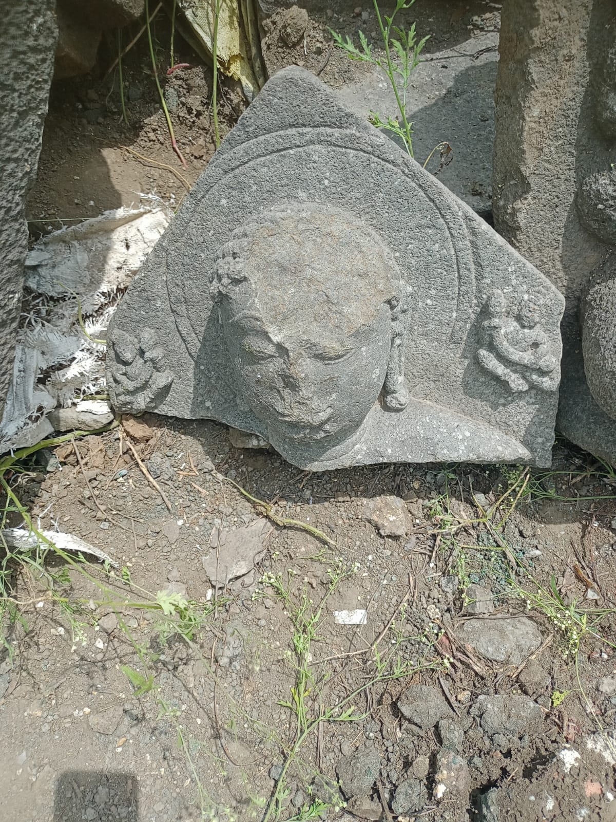 दरम्यान, बुद्धमूर्तीच्या अवशेषांच्या फोटोंनी सर्वांचे लक्ष वेधून घेतले आहे. त्यामुळे आता याप्रकरणी पुढे काय माहिती समोर येणार? याकडे सर्वांचे लक्ष लागले आहे.