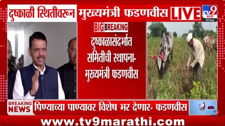 दुष्काळी परिस्थितीबाबत CM फडणवीसांची मोठी घोषणा, बड्या नेत्यावर दिली जबाबदारी दुष्काळी परिस्थितीबाबत CM फडणवीसांची मोठी घोषणा, बड्या नेत्यावर दिली जबाबदारी