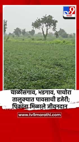 चाळीसगाव, भडगाव, पाचोरा तालुक्यात पावसाची हजेरी; पिकांना मिळाले जीवनदान