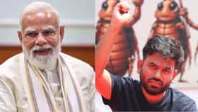 कॉकरोच जनता पार्टी आक्रमक, पंतप्रधान नरेंद्र मोदी यांच्या त्या विधानाने वातावरण पुन्हा तापले, थेट..