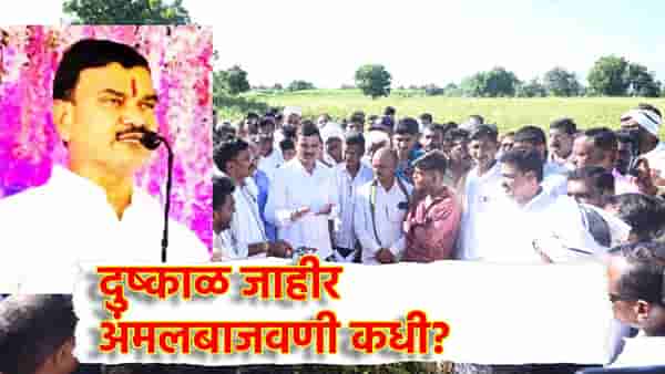 Dattatray Bharane: राज्यात कोरडा दुष्काळ जाहीर, आदेशाची अंमलबाजवणी कधी? कृषिमंत्री दत्तात्रय भरणे यांची मोठी माहिती