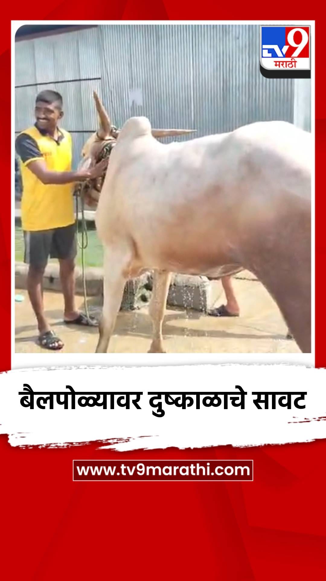 पावसाने पाठ फिरवल्याने शेतकरी मोठ्या संकटात सापडला-1753404