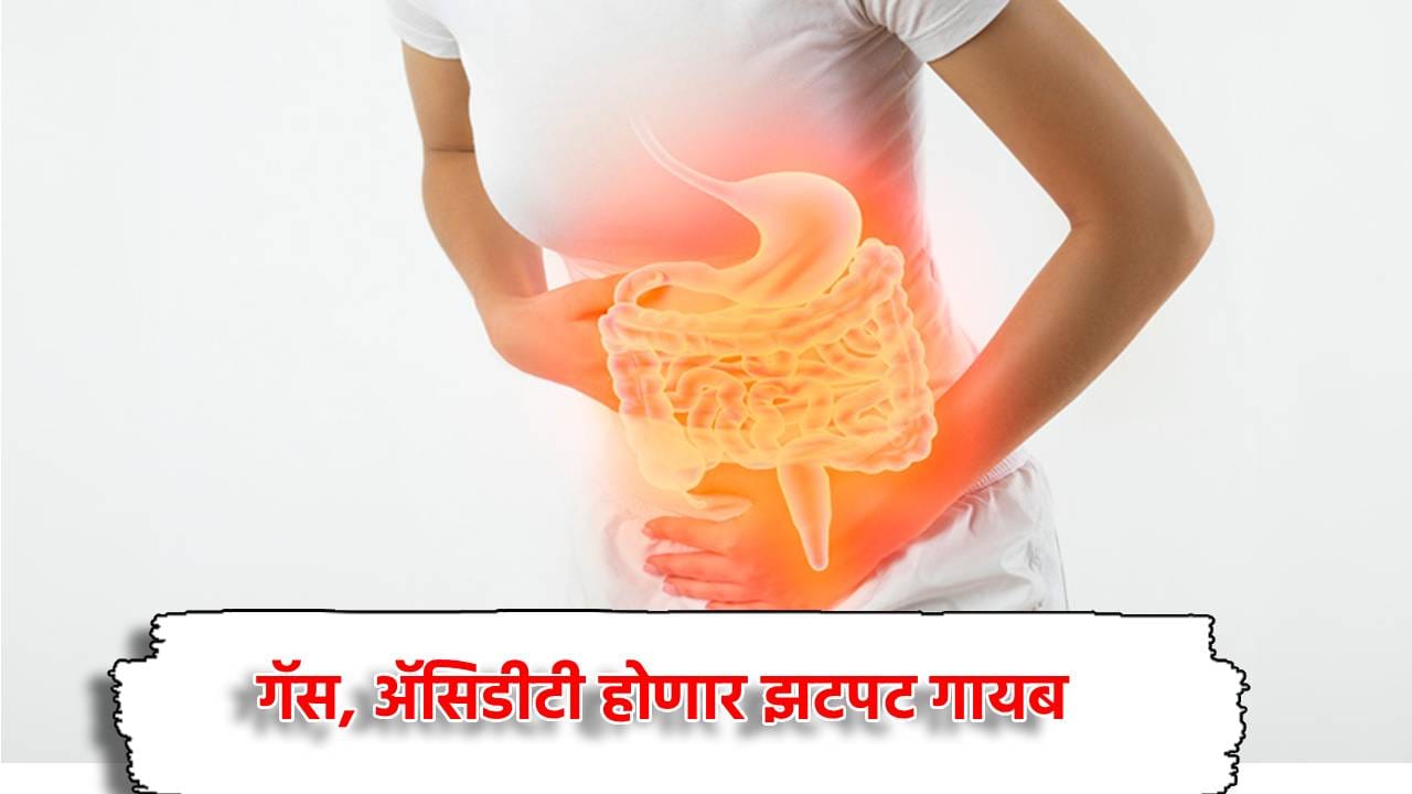 गॅस, ॲसिडीटी गायब, आठवड्यातून दोनदाच ही भाजी खा, एकदम रामबाण उपाय गॅस, ॲसिडीटी गायब, आठवड्यातून दोनदाच ही भाजी खा, एकदम रामबाण उपाय