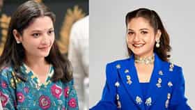 65 वर्षीय डॉक्टरांच्या घरात घुसून काठ्या-बेल्टने मारहाण; 'बिग बॉस' फेम अभिनेत्रीचा राडा, नेमकं प्रकरण काय?