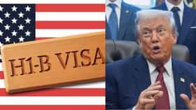 H-1B व्हिसाबाबत अमेरिकेचा धक्कादायक निर्णय, भारतीयांना मोठा झटका, नोकऱ्यांवर..