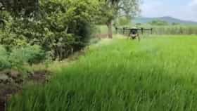Drone In Farm | शेतात ट्रॅक्टर नाही, थेट ड्रोनची एन्ट्री; मुळशीत अभिनव प्रयोग, व्हिडिओ बघाच