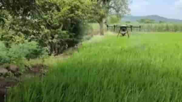 Drone In Farm | शेतात ट्रॅक्टर नाही, थेट ड्रोनची एन्ट्री; मुळशीत अभिनव प्रयोग, व्हिडिओ बघाच