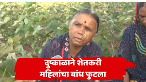 पाऊस नाही, पाणी नाही... घरात होतं ते दारात टाकलं; दुष्काळाची व्यथा सांगताना छत्रपती संभाजीनगरमध्ये महिला रडल्या