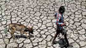 Maharashtra Drought Situation : विदर्भात भीषण दुष्काळाची स्थिती, Exclusive रिपोर्ट ‘टीव्ही ९ मराठी’च्या हाती
