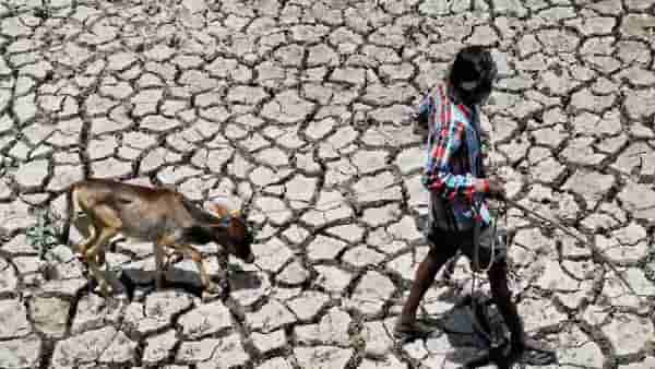 Maharashtra Drought Situation : विदर्भात भीषण दुष्काळाची स्थिती, Exclusive रिपोर्ट ‘टीव्ही ९ मराठी’च्या हाती