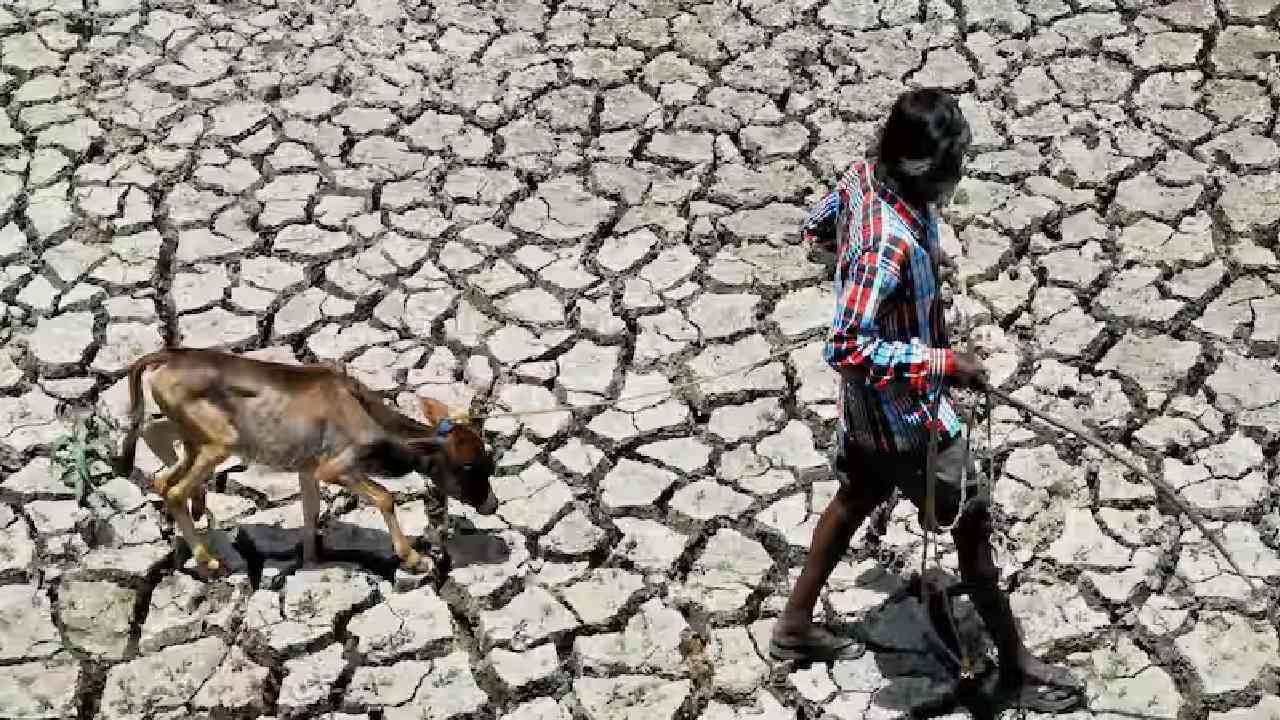 Maharashtra Drought Situation : विदर्भात भीषण दुष्काळाची स्थिती, Exclusive रिपोर्ट ‘टीव्ही ९ मराठी’च्या हाती Maharashtra Drought Situation : विदर्भात भीषण दुष्काळाची स्थिती, Exclusive रिपोर्ट ‘टीव्ही ९ मराठी’च्या हाती