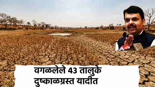 Dry Drought Taluka: शेतकऱ्यांना मोठा दिलासा, वगळलेल्या 43 तालुक्यांचाही दुष्काळग्रस्त यादीत समावेश