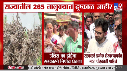 राज्यातील 265 तालुक्यात दुष्काळ जाहीर विरोधक काय म्हणतात?.
