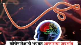 जगावर महाभंयकर संकट, कोरोनापेक्षाही खरतनाक आजाराचा प्रादुर्भाव, हजारो लोकांचा मृत्यू, WHO कडून हाय अलर्ट