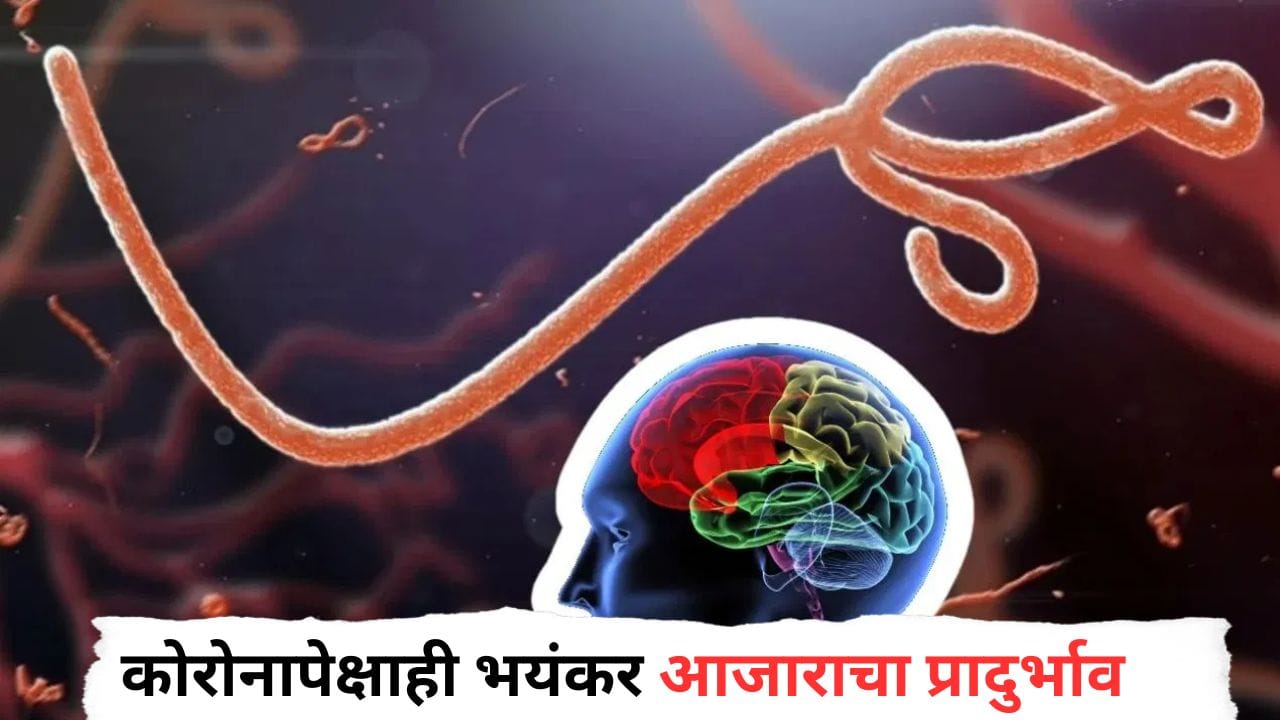 जगावर आता मोठं संकट, कोरोनापेक्षाही खरतनाक आजाराचा प्रादुर्भाव, हजारो लोकांचा मृत्यू, WHO कडून हाय अलर्ट जगावर आता मोठं संकट, कोरोनापेक्षाही खरतनाक आजाराचा प्रादुर्भाव, हजारो लोकांचा मृत्यू, WHO कडून हाय अलर्ट