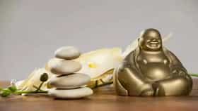 Feng Shui : या चार वस्तू घरात ठेवा; होईल धनाचा वर्षाव, नशीबच बदलून जाईल