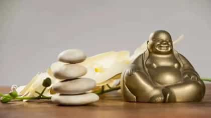 Feng Shui : या 4 वस्तू घरात ठेवा; होईल धनाचा वर्षाव, नशीबच बदलून जाईल.