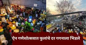 लाडक्या बाप्पासाठी लगबग सुरू; दादरच्या फूल मार्केटमध्ये प्रचंड गर्दी, 20 रुपयांचा झेंडू तब्बल...