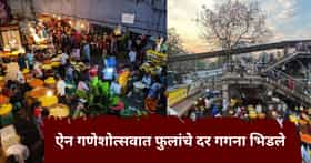 लाडक्या बाप्पासाठी लगबग सुरू; दादरच्या फूल मार्केटमध्ये प्रचंड गर्दी, 20 रुपयांचा झेंडू तब्बल...