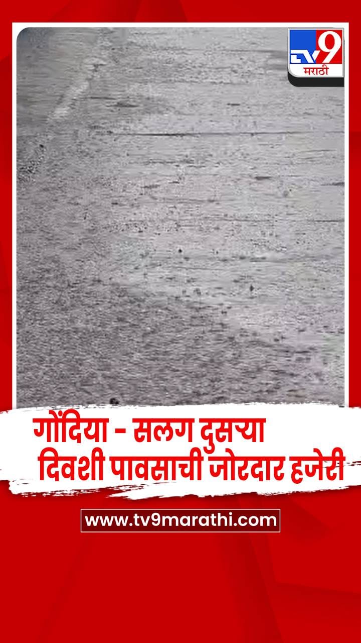 गोंदिया - ग्रामीण भागात सलग दुसऱ्या दिवशी पावसाची जोरदार हजेरी-1755276