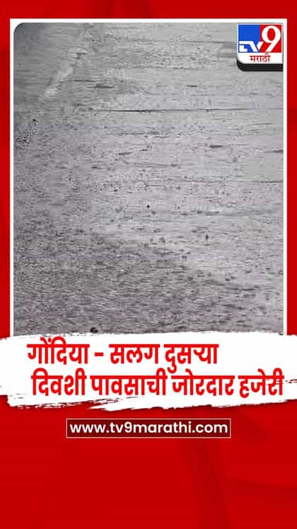 गोंदिया - ग्रामीण भागात सलग दुसऱ्या दिवशी पावसाची जोरदार हजेरी-1755276