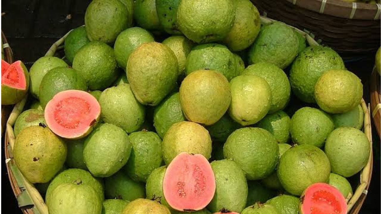 पेरूमध्ये पॉटाशियम जास्त असल्याने अन्न लवकर पचण्यास मदत होते. ज्यामुळे पचनक्रिया व्यवस्थित राहते. ज्यांना पचनाचे आजार आहेत, अशांनी आपल्या आहारात पेरूचा समावेश करावा. 