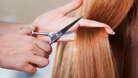 Hairstyle Tips: तुमचा चेहरा गोल, चौकोनी की लांब आहे, कोणता हेअरकट दिसेल चांगला? 'या' टिप्स ठरतील बेस्ट