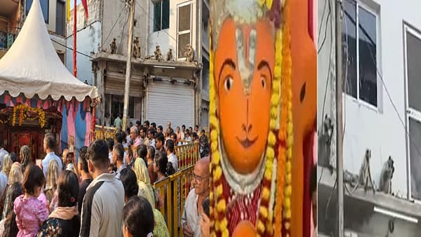 चमत्कार की योगायोग? हनुमान मंदिराजवळ अचानक वानरांची गर्दी; उज्जैनमध्ये नेमकं काय घडलं?