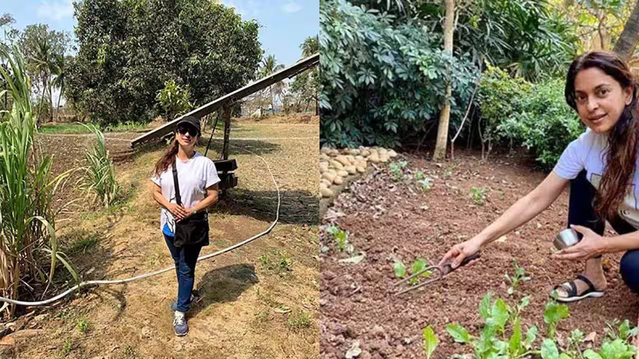 जूहीकडे कोट्यवधी रुपयांची शेतीची जमीन असून, ती गेल्या अनेक वर्षांपासून सेंद्रिय शेती करत आहे. विशेष म्हणजे, कोरोना काळातील लॉकडाऊनमध्ये तिने भूमिहीन शेतकऱ्यांच्या मदतीसाठी आपल्या जमिनीचा काही भाग दान करण्याचा निर्णय घेतला होता.