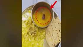 Kalva Hospital : धक्कादायक, कळवा हॉस्पिटलमध्ये रुग्णाच्या ताटामध्ये झुरळ VIDEO