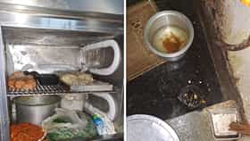 फ्रिजमध्ये रक्ताचा साठा, किचनमध्ये झुरळं-माशा अन् उंदरांची विष्ठा; मुंबईतील प्रसिद्ध हॉटेलचा परवाना निलंबित