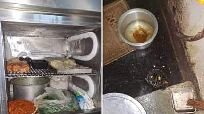 मांजरीपासून उंदराच्या विष्ठेपर्यंत प्रसिद्ध हॉटेलमध्ये काय-काय सापडलं?.