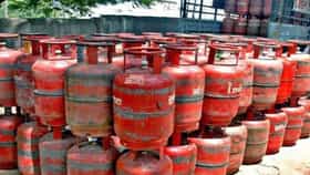 LPG gas : मोठी घोषणा, वर्षातून 3 एलपीजी गॅस सिलिंडर मोफत मिळणार, नागरिकांच्या खात्यात सरकार 3 हजार रुपये जमा करणार