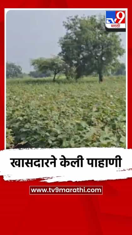 खासदाराने केली पाहाणी-1762532