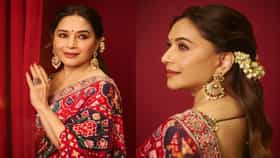 Madhuri Dixit : याहून सुंदर काय असू शकतं?, साडीच 'धकधक गर्ल'चा घायाळ लूक, फोटो पाहून म्हणाला...