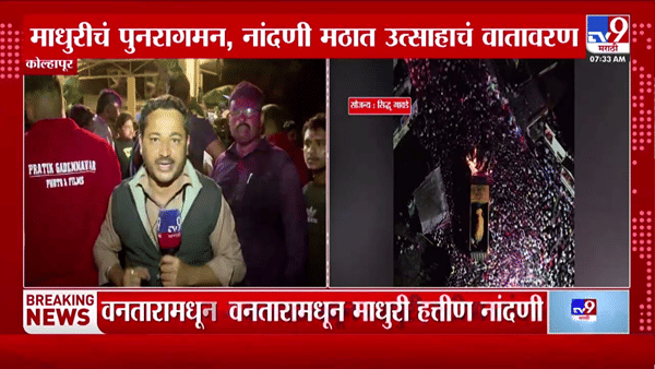 माधुरी हत्तीण नांदणी मठात परतली, हजारो नागरिकांनी उत्साहात केले स्वागत