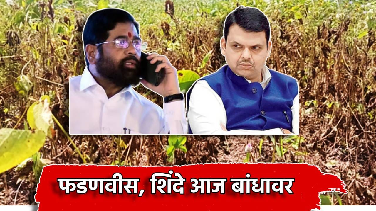 Maharashtra Drought: राज्यात दुष्काळी परिस्थिती, सरकार Action मोडवर, देवेंद्र फडणवीस, एकनाथ शिंदे आज कुठे-कुठे जाणार? Maharashtra Drought: राज्यात दुष्काळी परिस्थिती, सरकार Action मोडवर, देवेंद्र फडणवीस, एकनाथ शिंदे आज कुठे-कुठे जाणार?