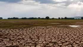 Maharashtra Drought Situation : 1972 सारखा भीषण दुष्काळ पडणार का? मराठवाड्यात पावसाची स्थिती गंभीर, मागच्या 50 दिवसांपासून..