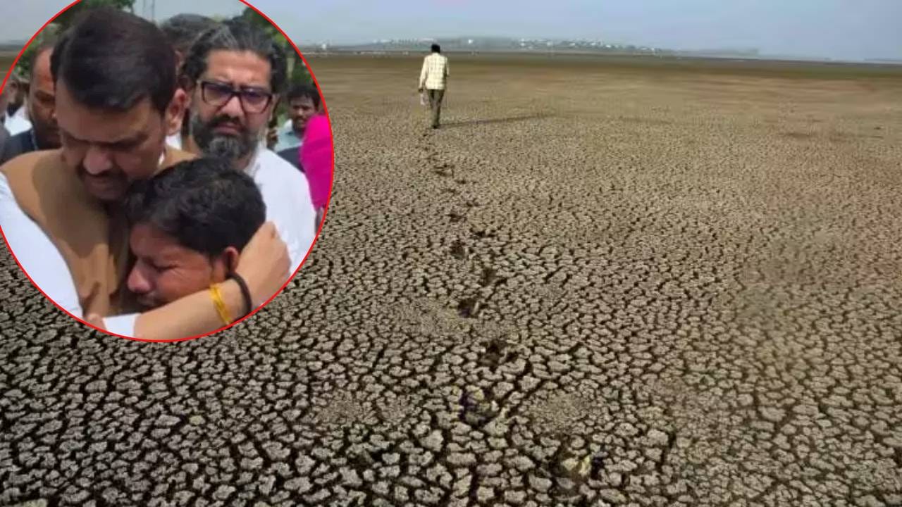 Maharashtra Drought: राज्यात 265 तालुक्यात दुष्काळ जाहीर, शेतकऱ्यांना नेमक्या सवलती काय? वाचा संपूर्ण उपाय योजन Maharashtra Drought: राज्यात 265 तालुक्यात दुष्काळ जाहीर, शेतकऱ्यांना नेमक्या सवलती काय? वाचा संपूर्ण उपाय योजन