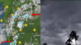 पावसाबद्दल अत्यंत मोठी अपडेट, धो धो पाऊस कोसळणार, राज्यात पुढील..
