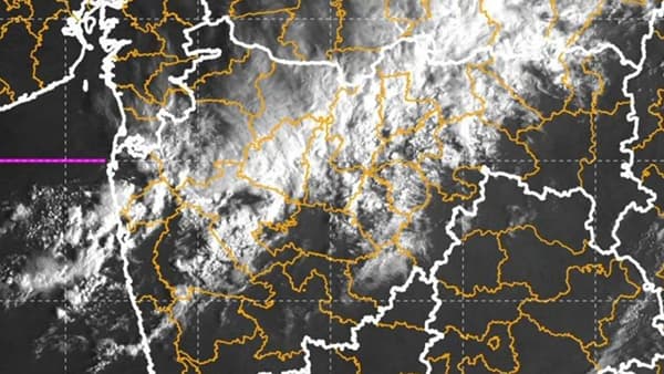 Weather update : महाराष्ट्रात धो धो पाऊस नाहीच, ज्याची भीती तोच हवामान विभागाचा अंदाज, पुढील..