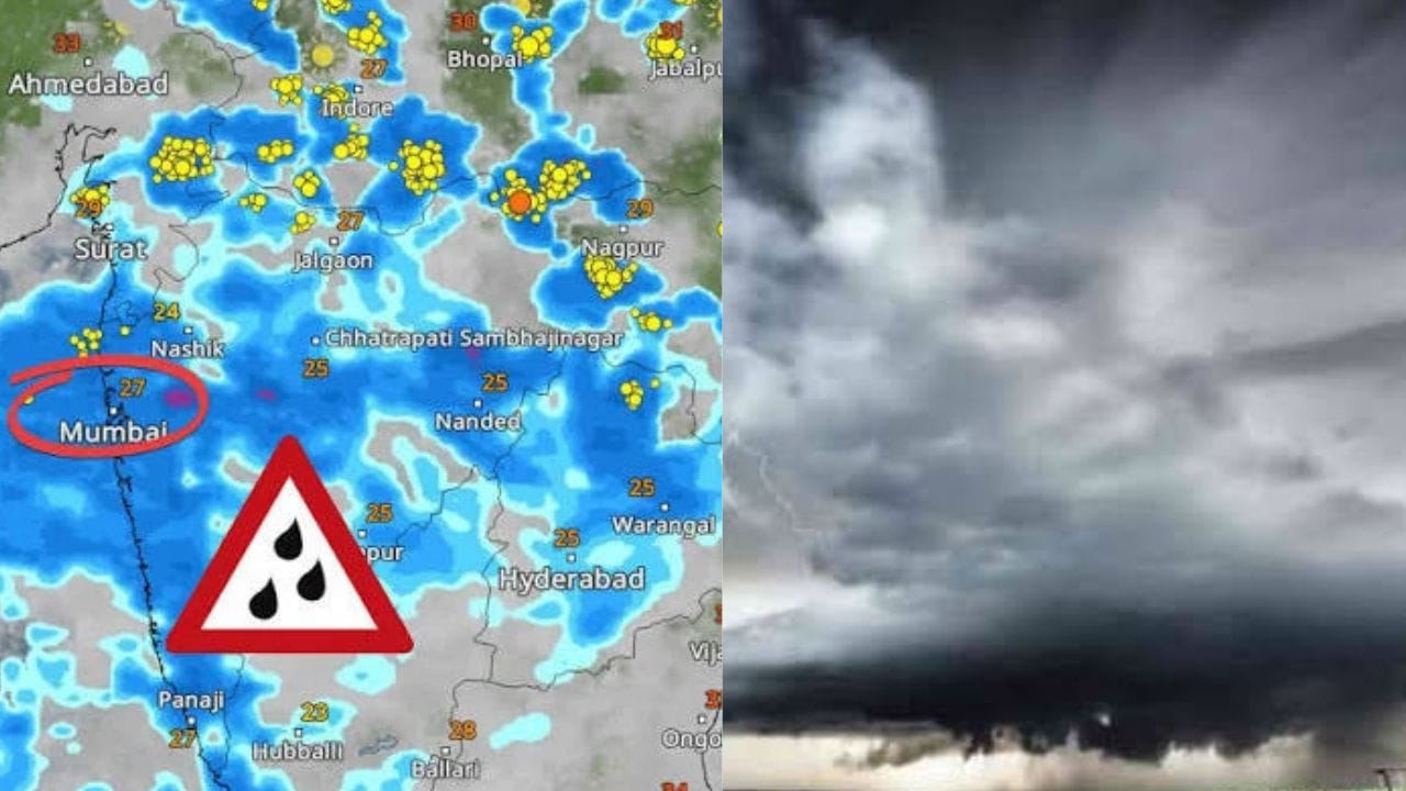 राज्यात मुसळधार पाऊस, हवामान विभागाचा मोठा इशारा, पुढील 24 तास धोक्याची, थेट.. राज्यात मुसळधार पाऊस, हवामान विभागाचा मोठा इशारा, पुढील 24 तास धोक्याची, थेट..