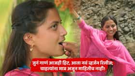 मराठमोळ्या चित्रपटाला 3 वर्षे झाली, पण गाण्याची क्रेझ तसूभरही कमी नाही; आता आलं नवं व्हर्जन